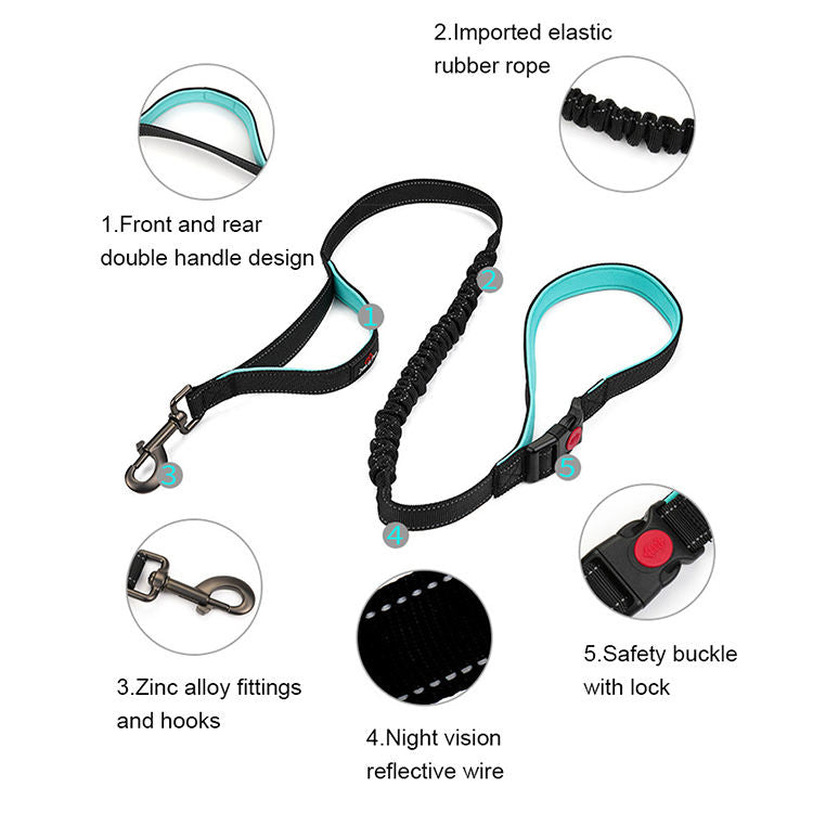 QVL Dual-Handle Reflective Dog Leash