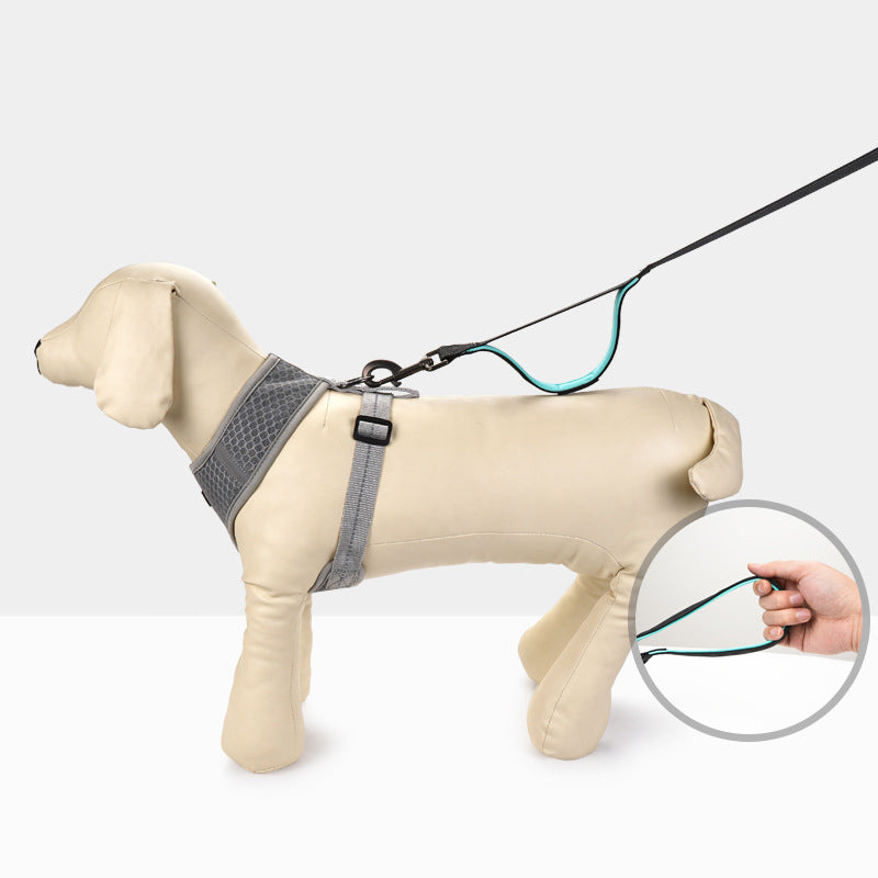 QVL Dual-Handle Reflective Dog Leash